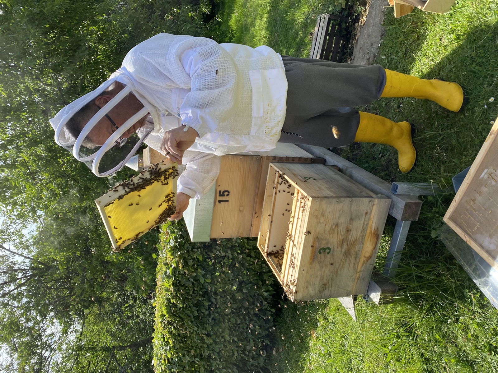 Imker bei der Arbeit am Bienenstock