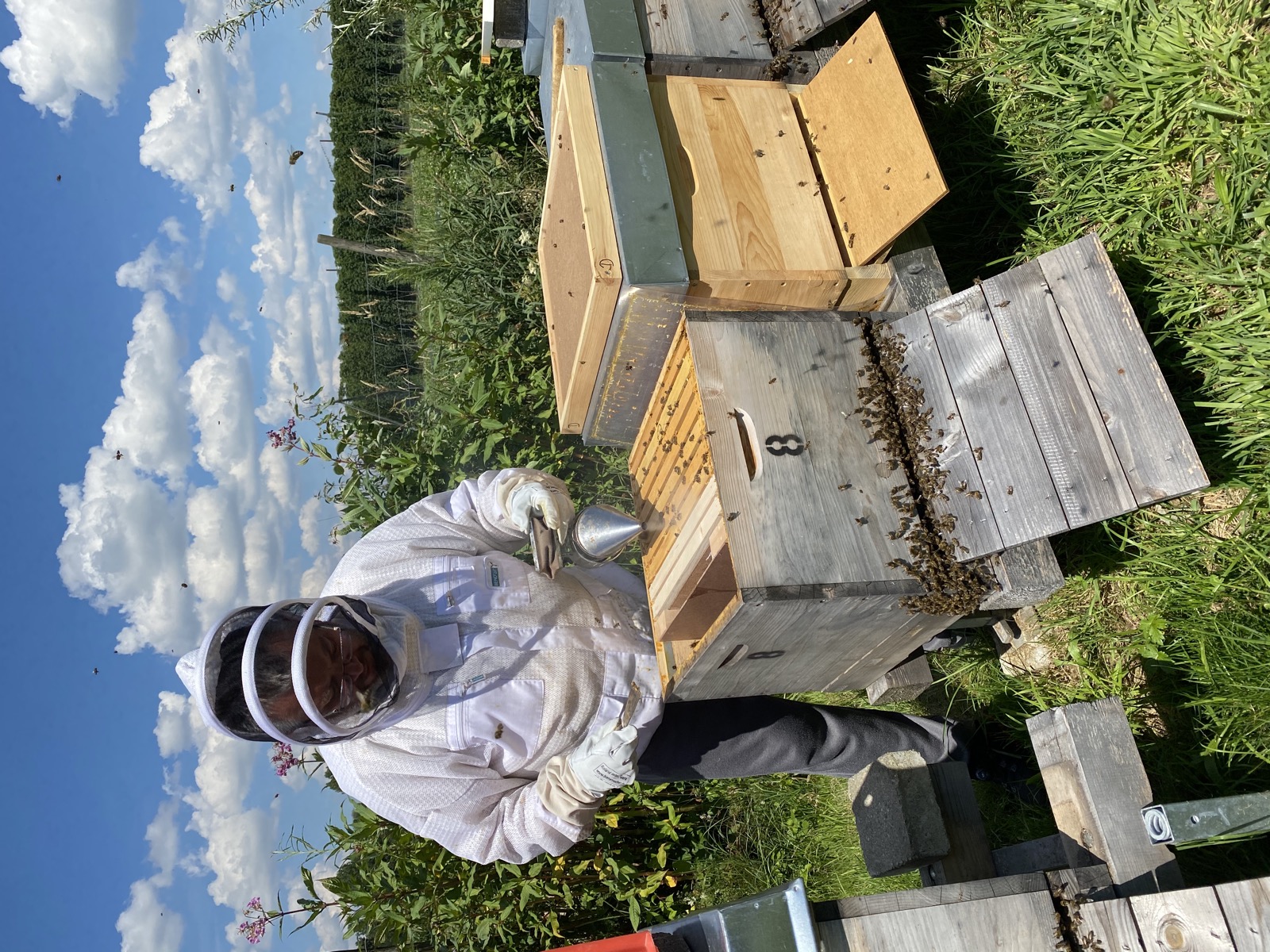 Regionaler Imker bei der Arbeit